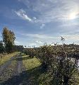 38.9.2026 vandrade vi i Lappfors